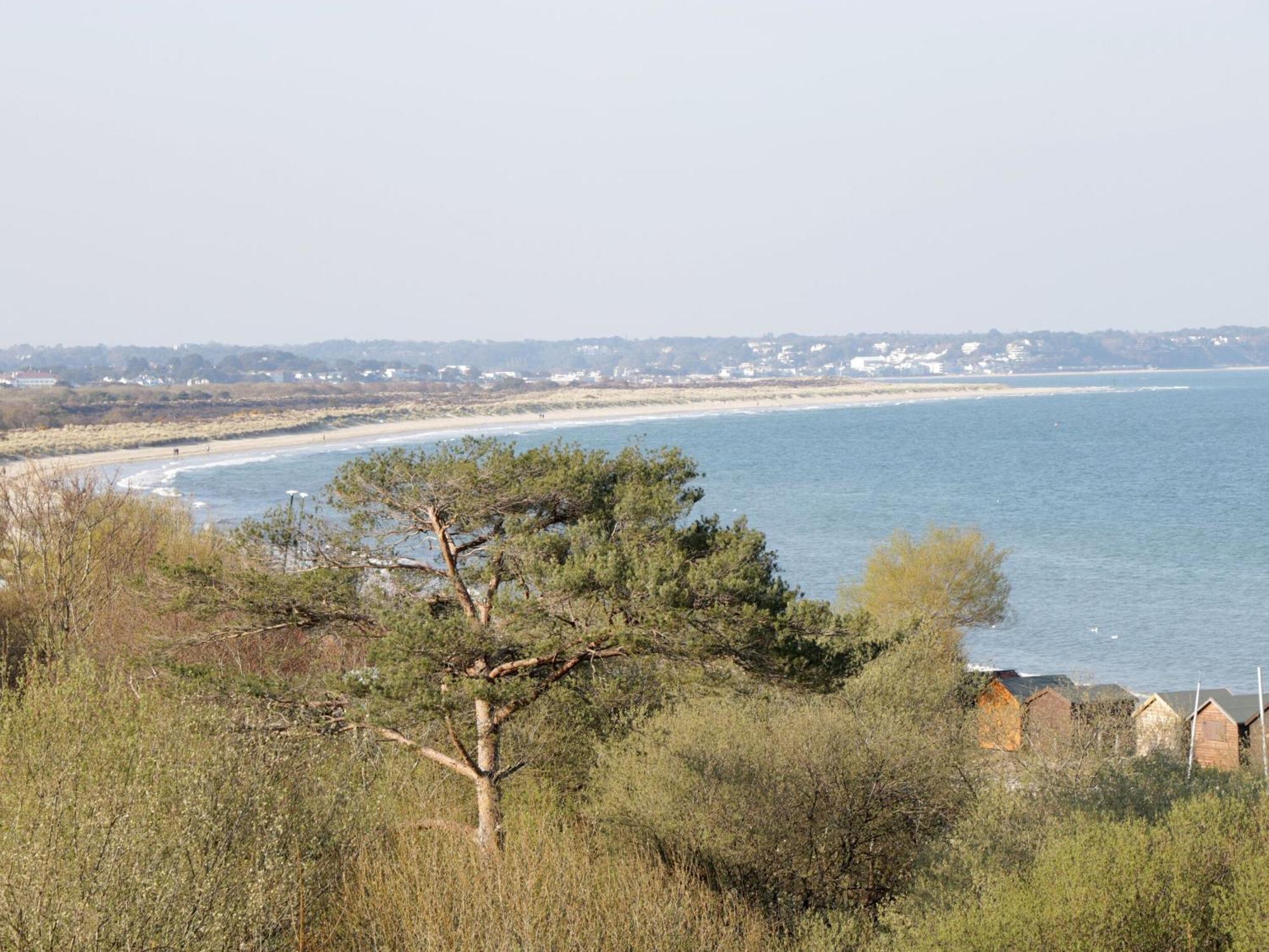 Purbeck - Flat 5